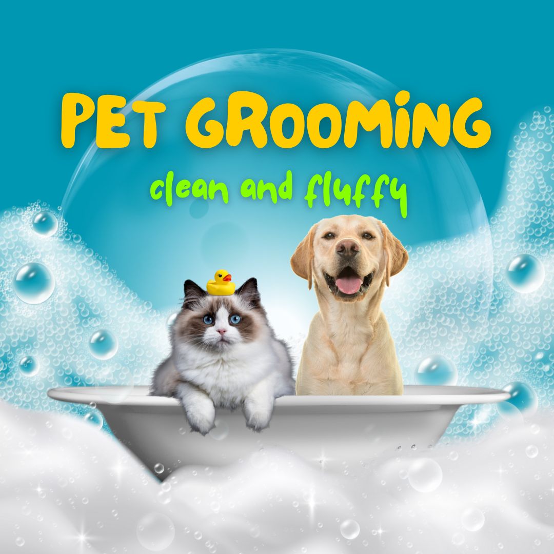 Pet Grooming